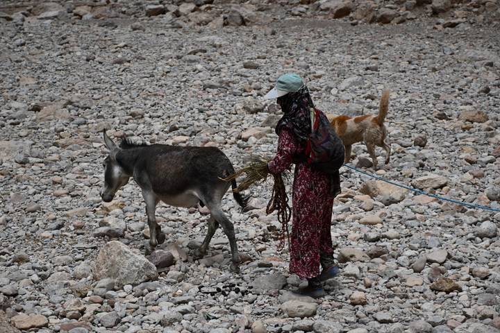 Local woman leading a donkey across a rocky dry riverbed, accompanied by a dog.