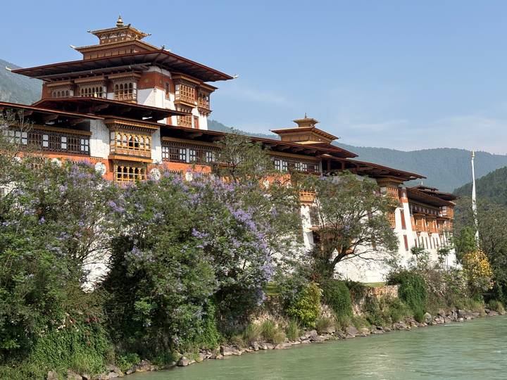Side view of Punakha Dzong framed by blooming purple trees and forested hills under clear skies.