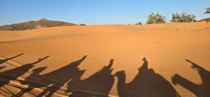 Golden desert dunes with elongated silhouettes of riders atop camels cast across the sand at low sun.