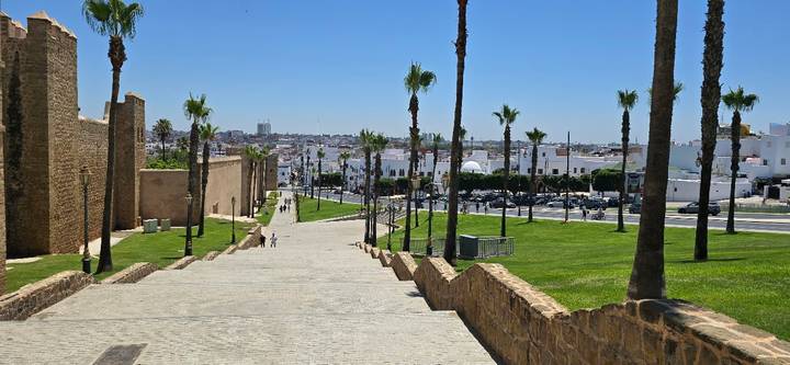 Stone ramp lined with palm trees leading from city walls down to a modern avenue and skyline in the distance.