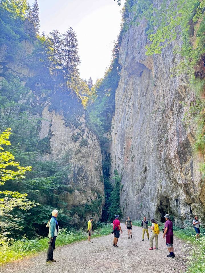 Narrow rock gorge with towering sheer walls and lush greenery clinging to the crevices.