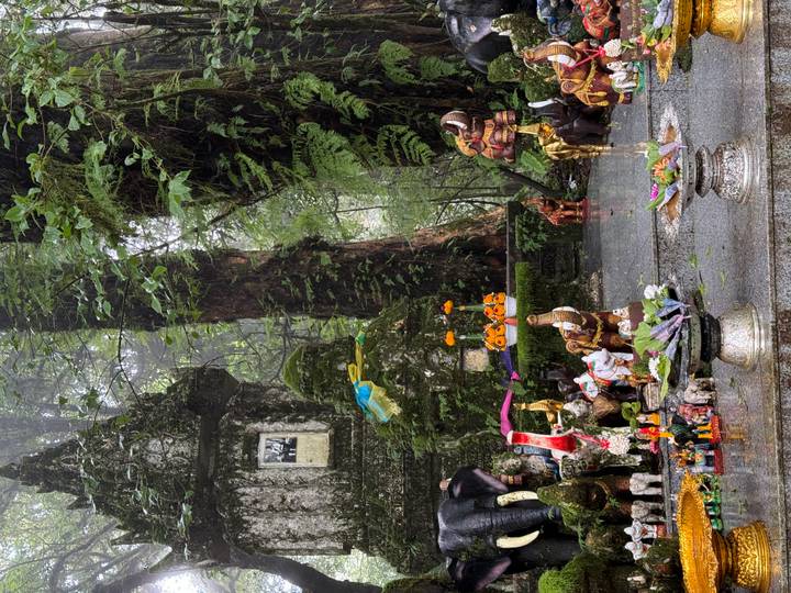 Mossy forest shrine adorned with small elephant figurines and offerings in misty jungle