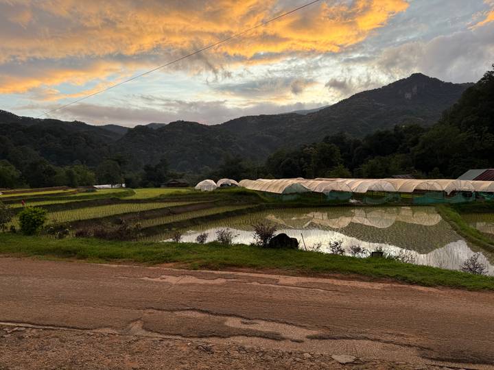 Golden clouds over mountain valley with rice paddies and greenhouse domes at dusk