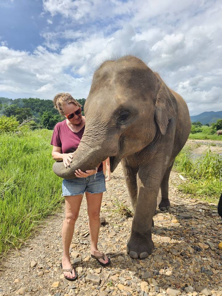Smiling woman feeding and petting an elephant in a grassy sanctuary