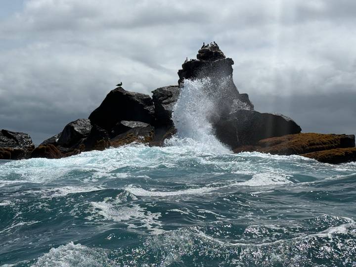 Dramatic ocean spray as wave crashes against rocky outcrop with seabirds perched on top