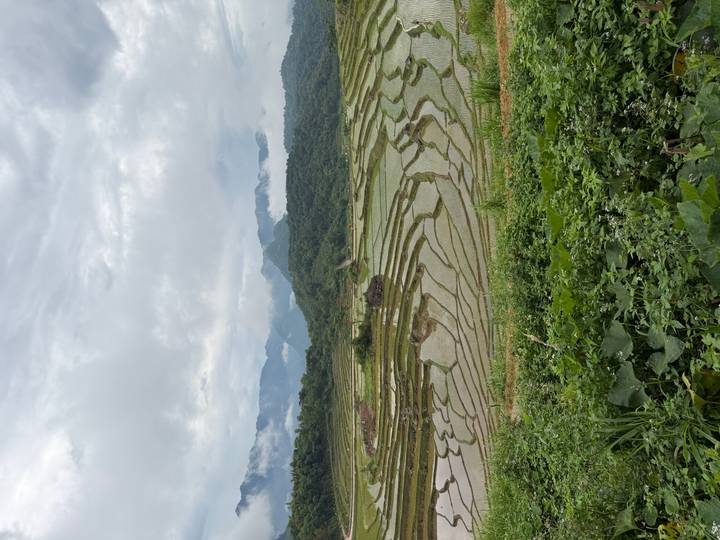 Expansive stepped rice terraces stretching across a misty mountain valley after rain