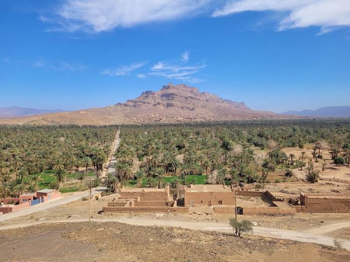 Wide view of a lush palm oasis stretching toward a solitary rugged mountain under a clear blue sky in Morocco.