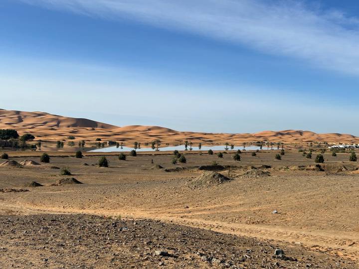Expansive desert plain dotted with small trees and a shimmering seasonal lake with distant dunes.