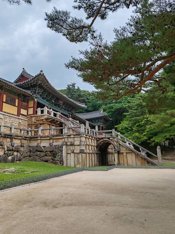 Elegant wooden temple buildings with ornate painted eaves nestled among pines in Bulguksa complex.