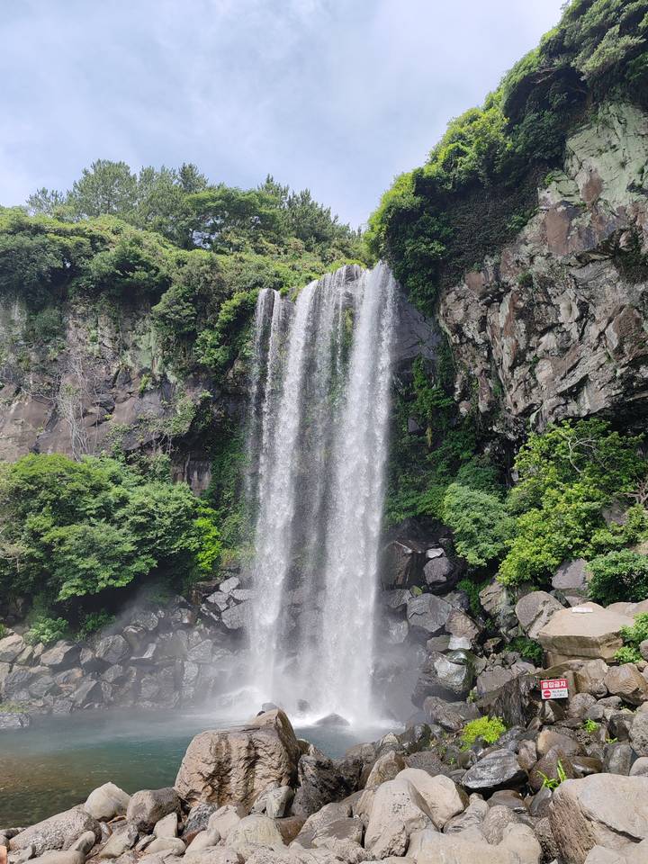 Tall waterfall plunges down volcanic cliffs draped in lush greenery on Jeju Island.