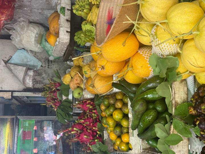 Vibrant market stall stacked high with tropical fruits including melons, avocados, dragon fruit and citrus.