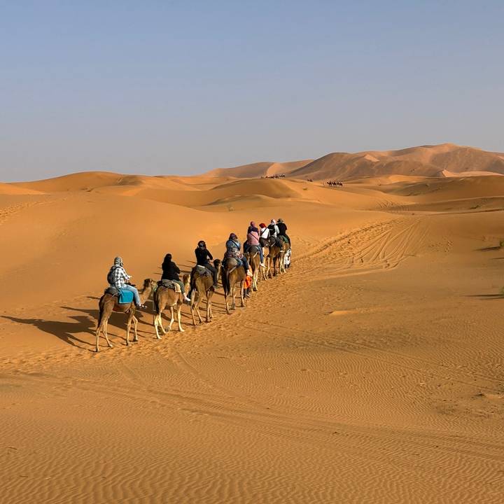 A long caravan of tourists on camels winds through rolling golden dunes.