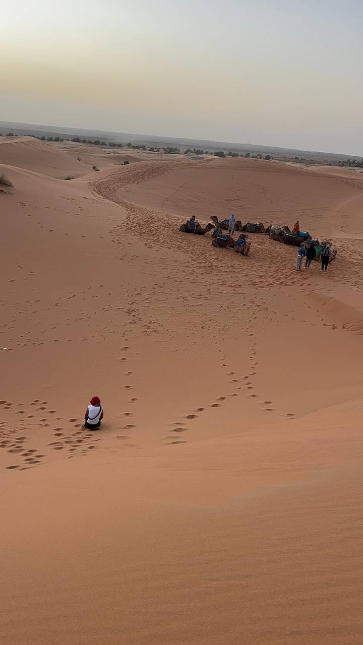 A solitary traveler stands in vast sand while camels and guides rest together in the distance.