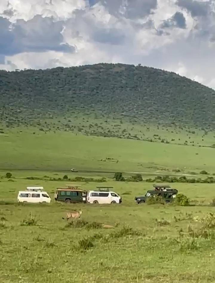 Blurry shot of safari vans gathered on grassy savannah with a wooded hill backdrop.