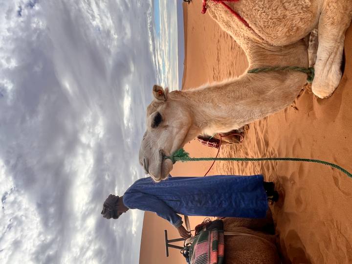 Close-up of a seated camel with rope in mouth next to its blue-robed handler on orange sand.