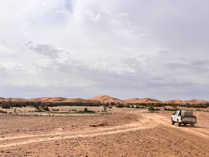 Dusty track with a lone pickup truck heading toward distant sand dunes under a pale sky.