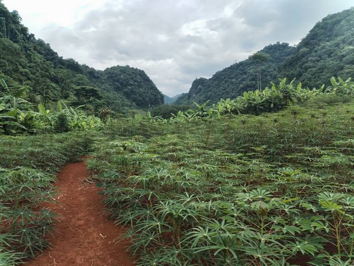 A red-earth path winds through dense green vegetation with towering jungle-covered mountains ahead.