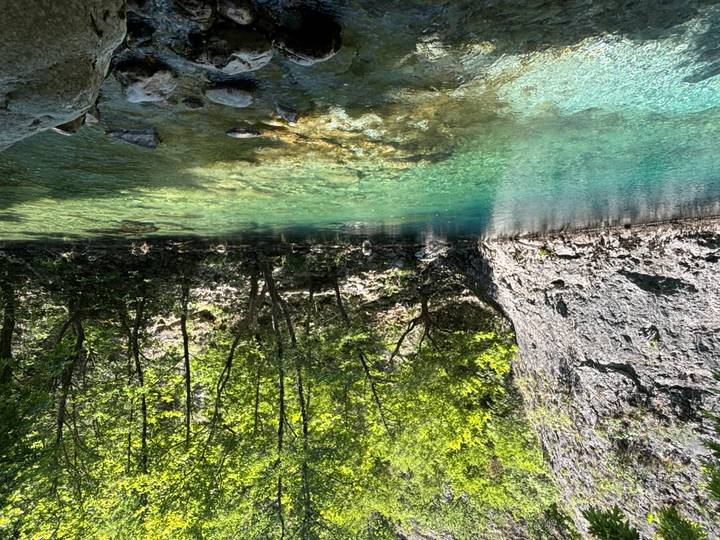 Emerald water flows quietly beside a rocky cliff and shady trees in a forest canyon.