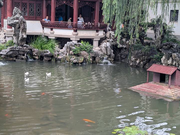 Serene koi pond with small waterfalls and a wooden duck house inside a classical Chinese garden.