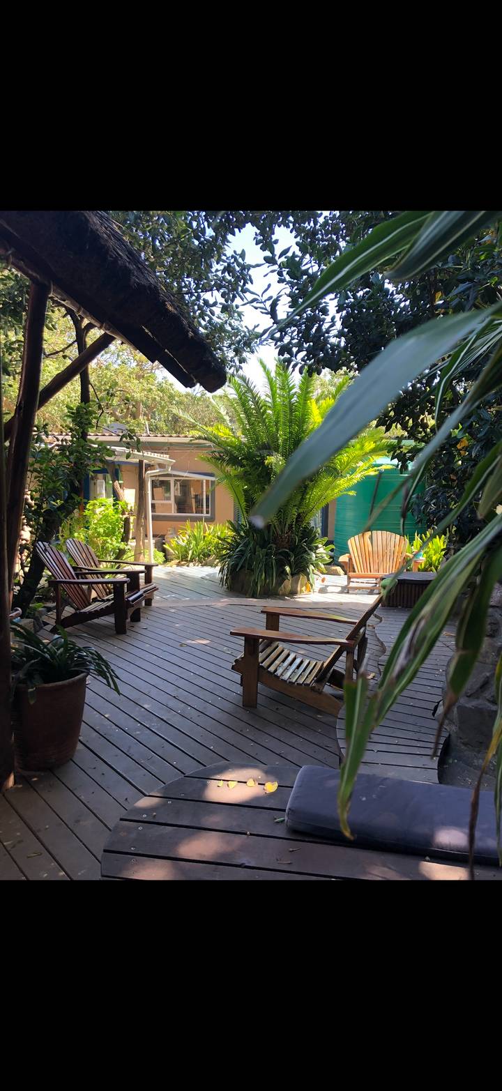 Wooden deck area with Adirondack chairs surrounded by dense tropical plants and trees.