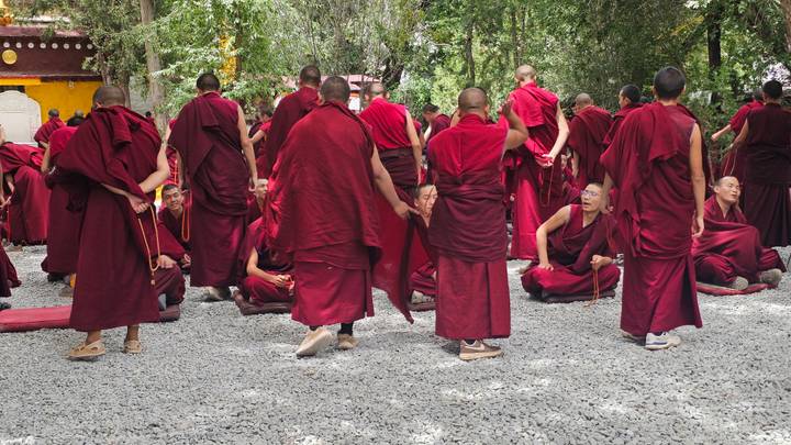 Dozens of monks in deep red robes gathered outdoors for scholarly debate.