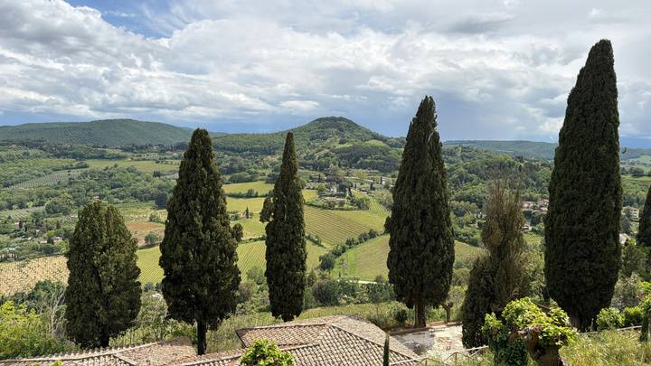 Tall cypress trees frame rolling Tuscan hills and vineyards beneath a partly cloudy sky.