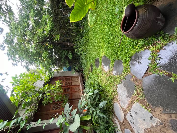 A lush private garden with stepping-stone path, bamboo and a wooden bungalow opens onto a patch of wet grass after rain.