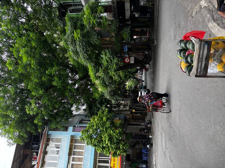 Quiet tree-lined street where a vendor pedals a bicycle cart loaded with produce and watermelons sit in a cart in the foreground.