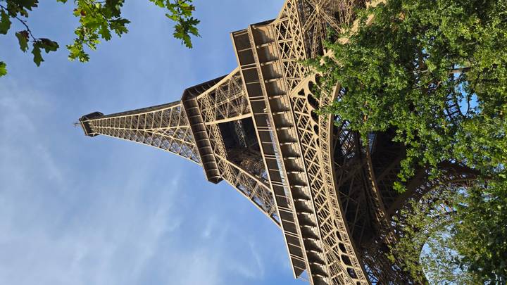 Low-angle view of the Eiffel Tower rising into a clear blue sky framed by leafy branches.