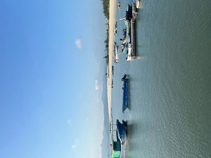 Small fishing boats float on calm blue water near a sandy spit with distant mountains under a clear sky.