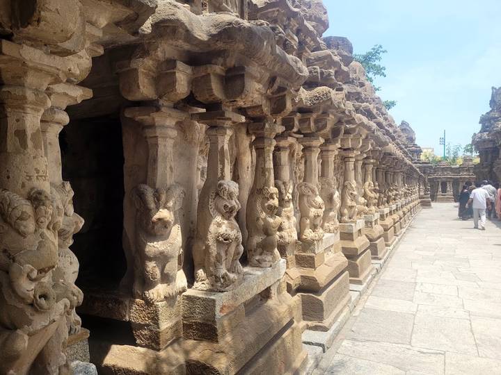 A corridor of ancient stone pillars carved with lion figures lines a temple in Mahabalipuram.