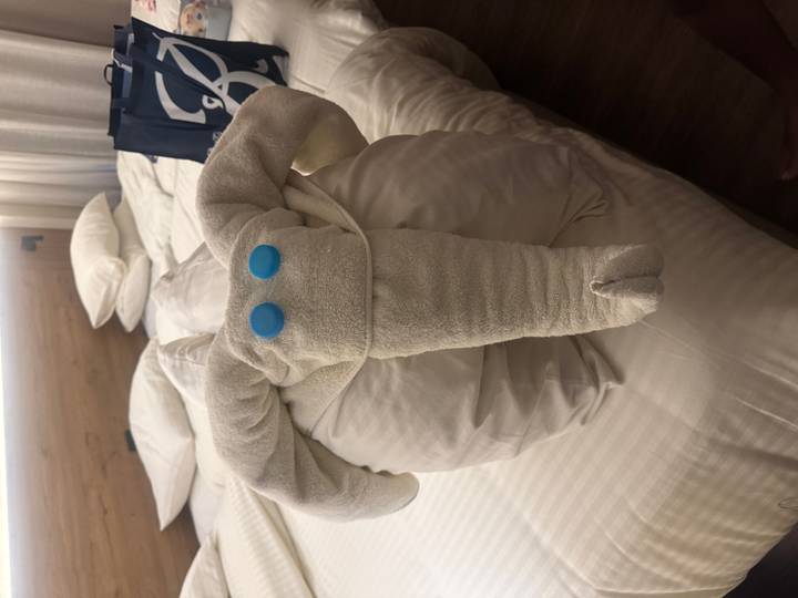 Towel folded into an elephant shape placed on a hotel bed with blue button eyes.
