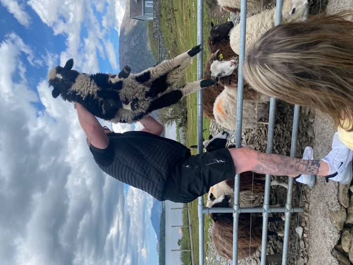 Farmer lifts a spotted sheep over a fence during a demonstration with a backdrop of grazing flock and lake.