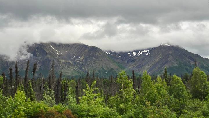 Snow-patched Alaskan mountains rise above dense spruce forest beneath low grey clouds.