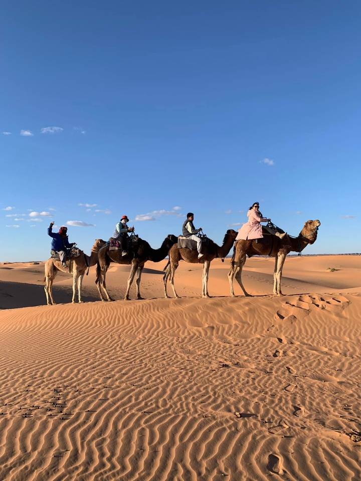 Line of four camel riders crosses wind-sculpted sand under a crisp blue sky in the Sahara.