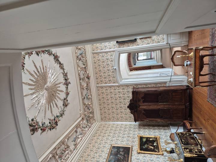 Vintage furnished corridor with floral ceiling medallion inside palace.