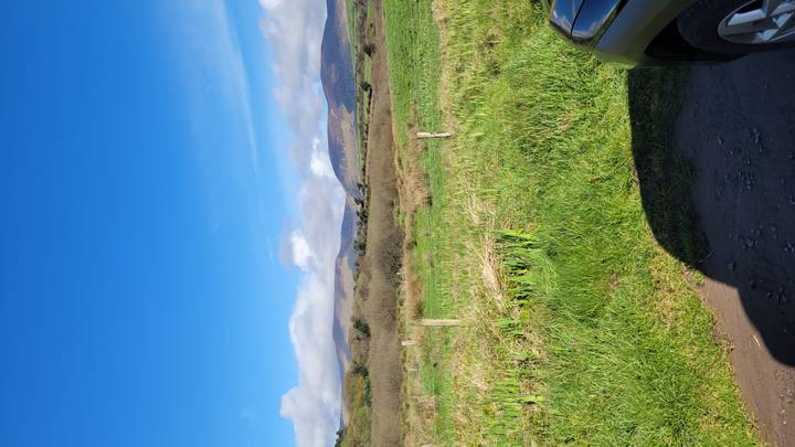 Open grassy field with distant low mountains under a clear blue sky, partial car in foreground.