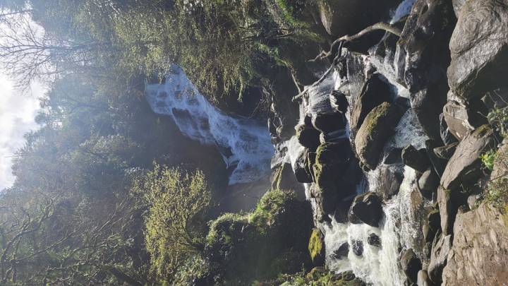 Multi-tiered waterfall cascading through lush green forest with spray catching the sunlight.
