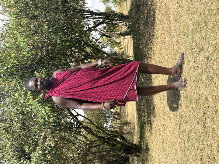 A Maasai man wearing a red shuka stands on grassy savannah with acacia trees behind him.