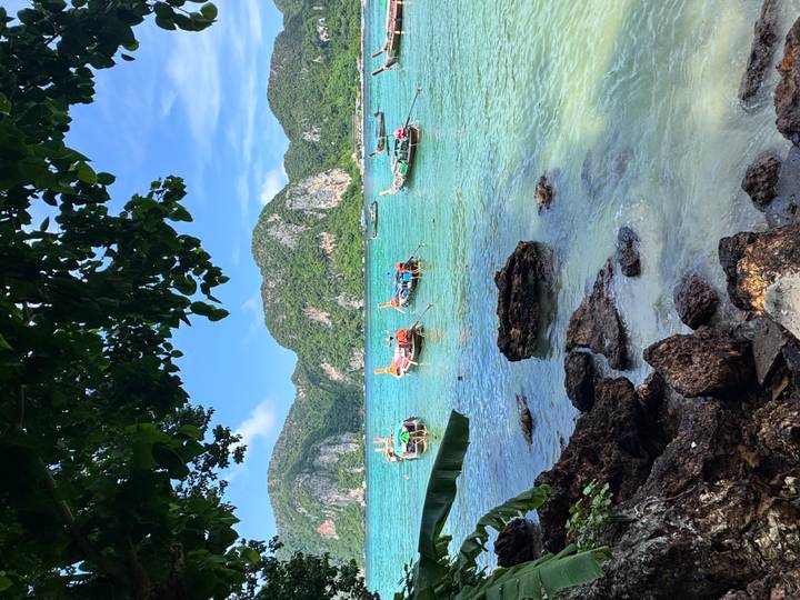 Framed by overhanging leaves, emerald water dotted with colourful long-tail boats sits beneath dramatic limestone cliffs.