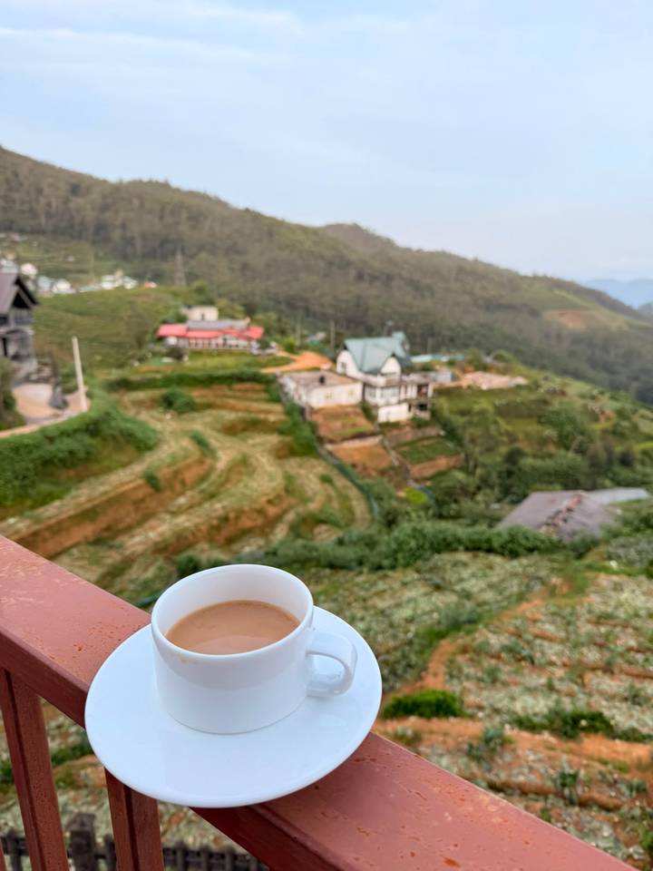 Cup of tea on a balcony railing overlooking misty terraced hills and scattered houses.