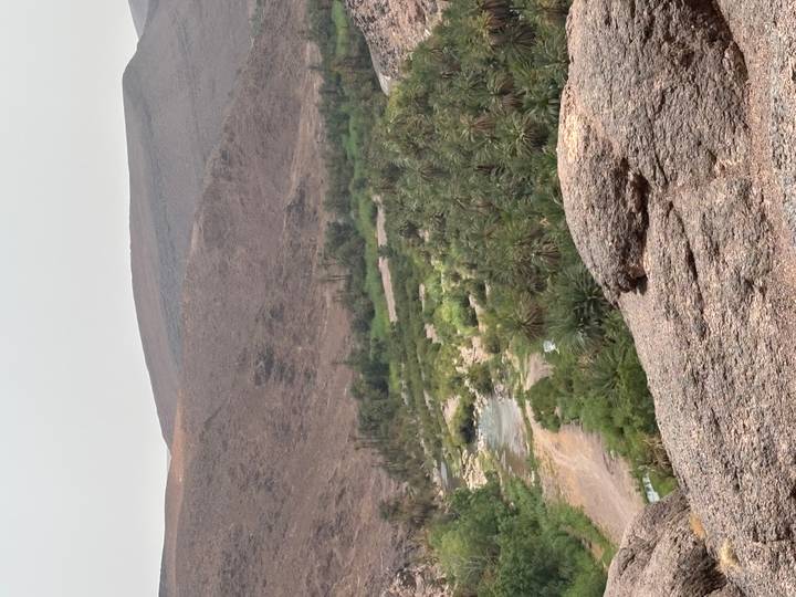 Arid rocky hills overlooking a lush palm-lined river oasis in southern Morocco.