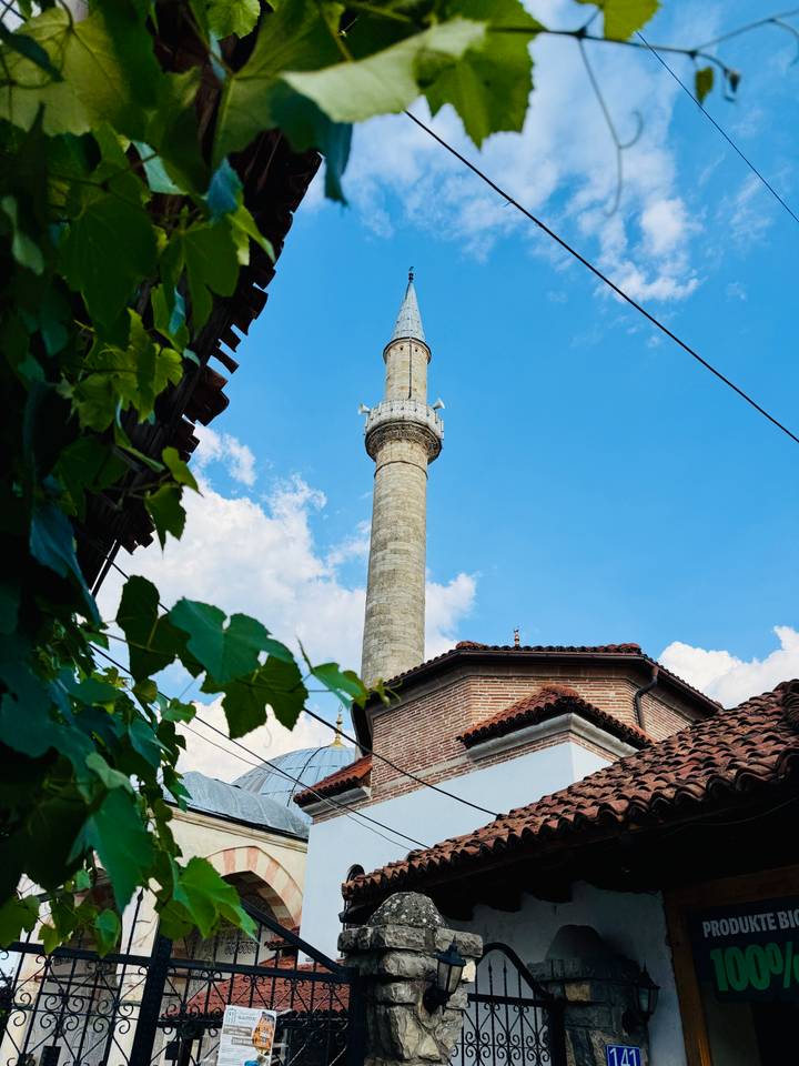 A tall stone minaret rises into a bright sky framed by vines and rooftops of an old town.