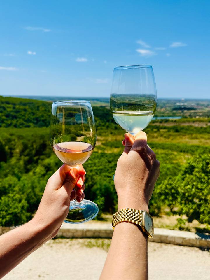 Two raised wine glasses toast over a sunlit vineyard landscape stretching to the horizon.