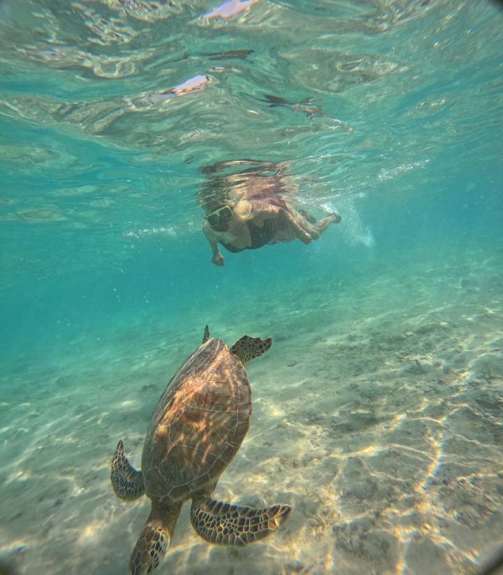 A snorkeler swims toward a sea turtle in clear turquoise water.