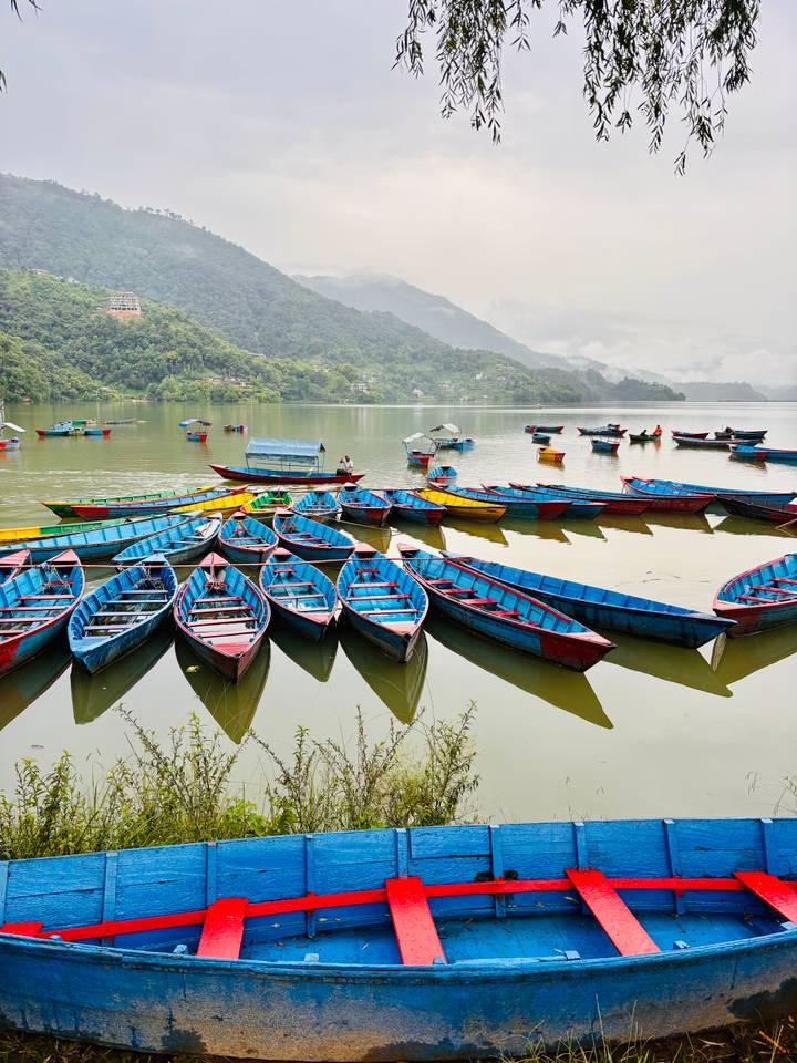 Dozens of brightly painted wooden boats moored on calm Phewa Lake with misty green hills beyond.