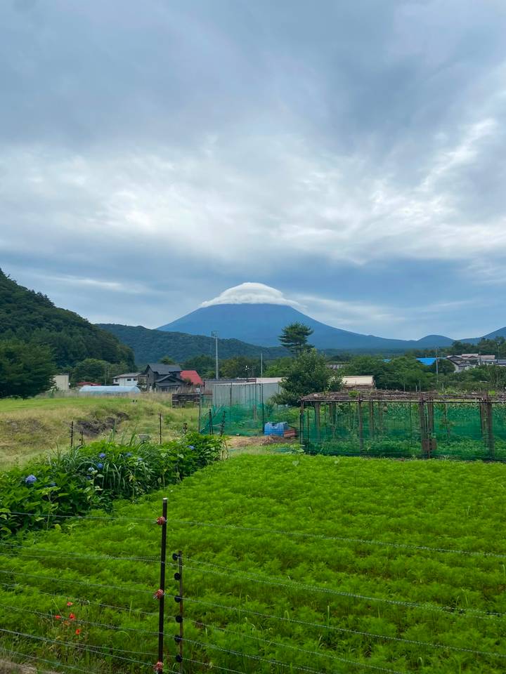 Distant view of Mount Fuji capped by a lenticular cloud, seen over rural gardens and forested hills.