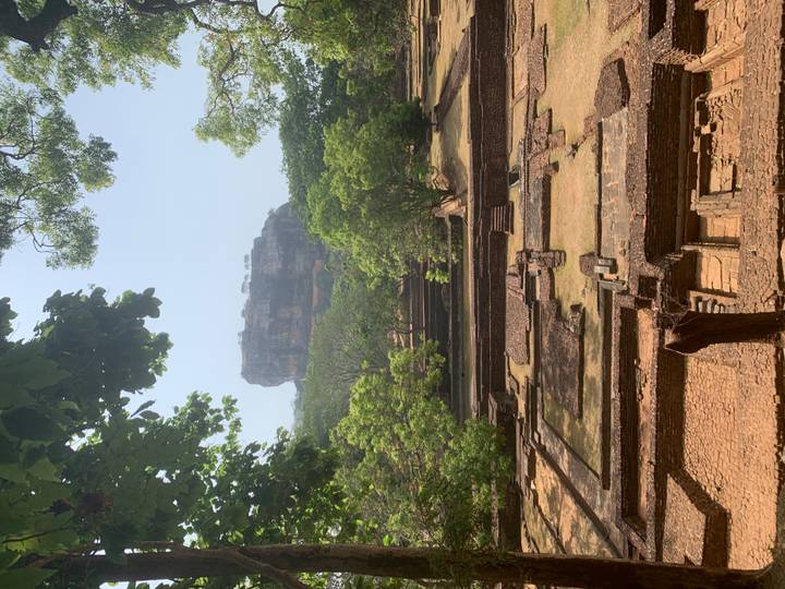 View of Sigiriya Rock Fortress rising above green archaeological gardens and forest.