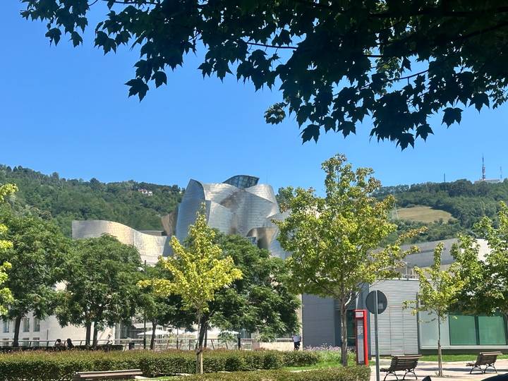 Silvery curves of the Guggenheim Museum Bilbao partly hidden behind leafy trees on a bright day.