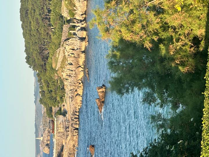 Rocky coastline and blue sea with pine-covered headland photographed on a clear afternoon.